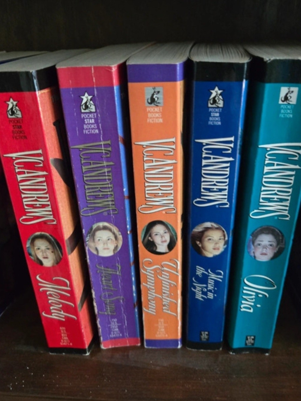 VC andrews 5 Book Lot